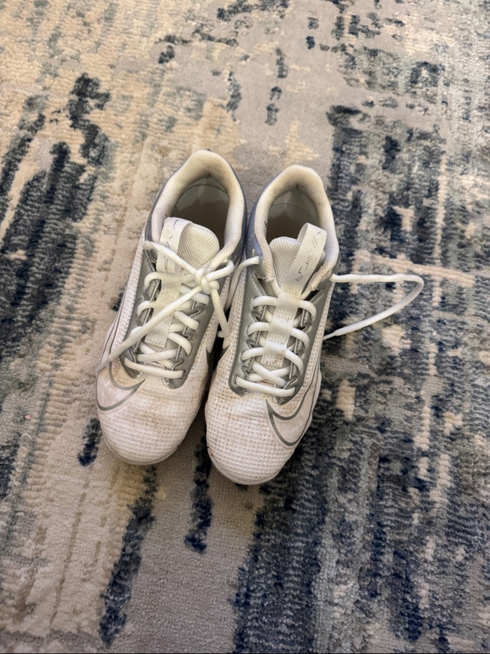 Nike White and Silver Running Sneakers